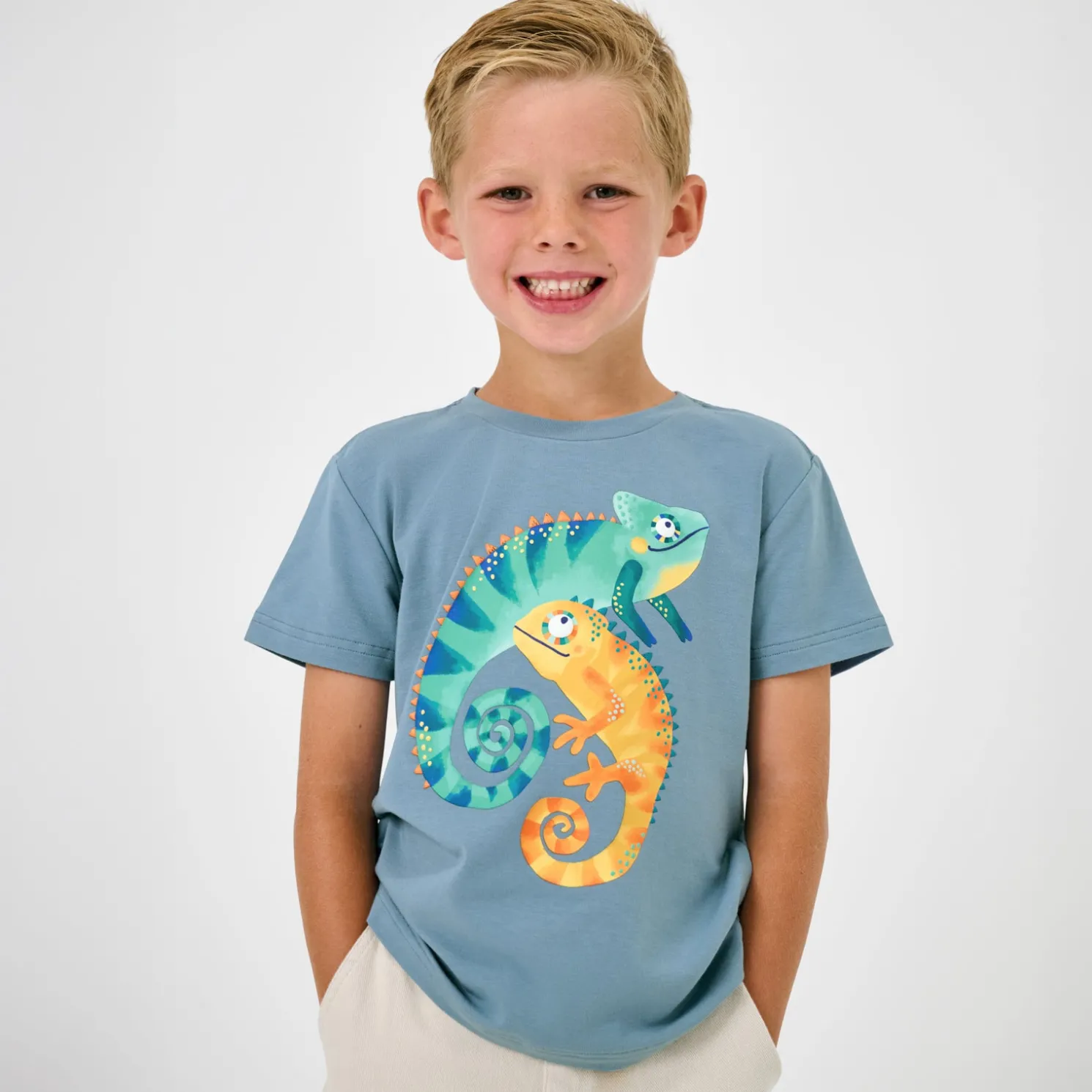 Chameleon Relaxed Tee