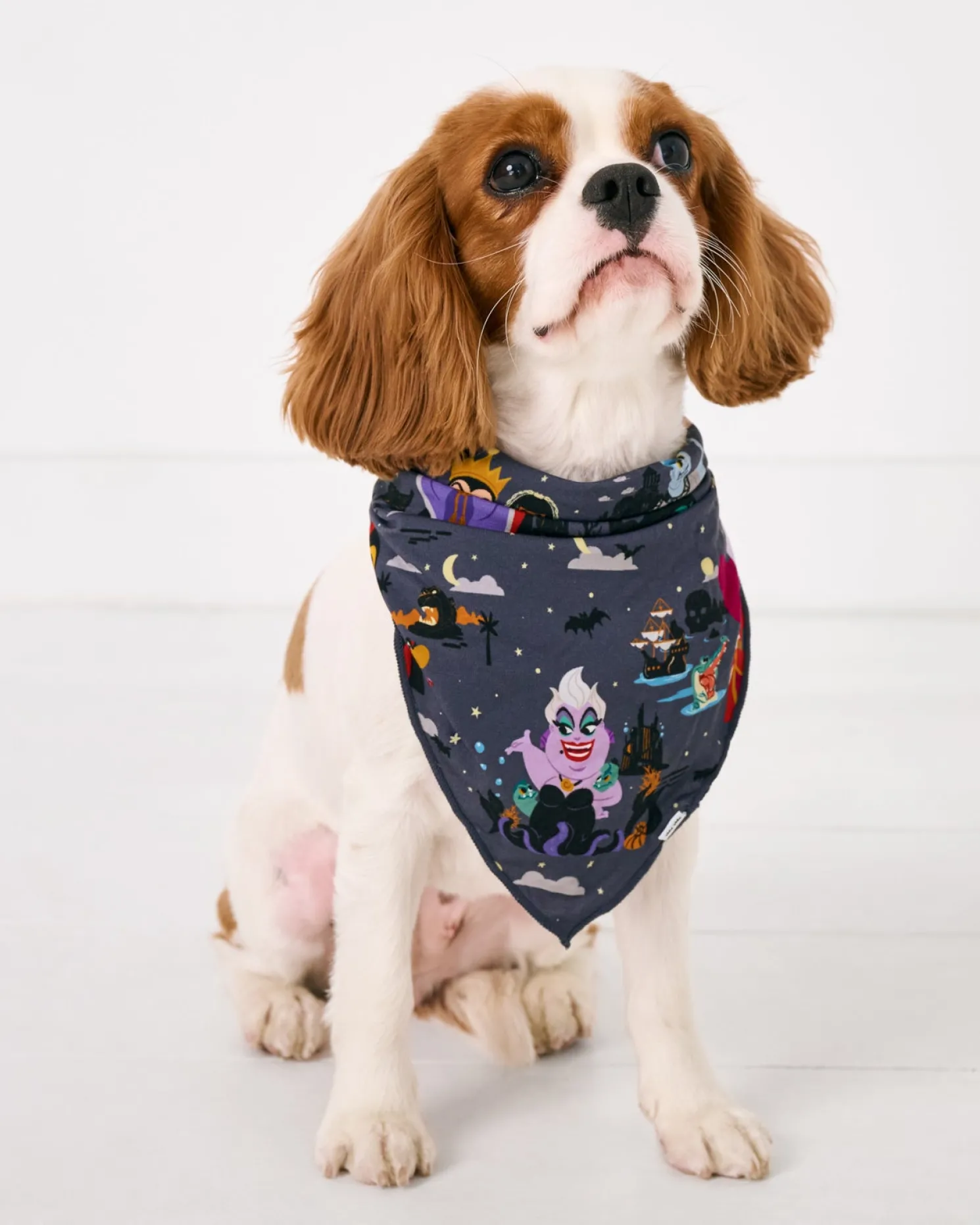 Disney Villains Pet Bandana