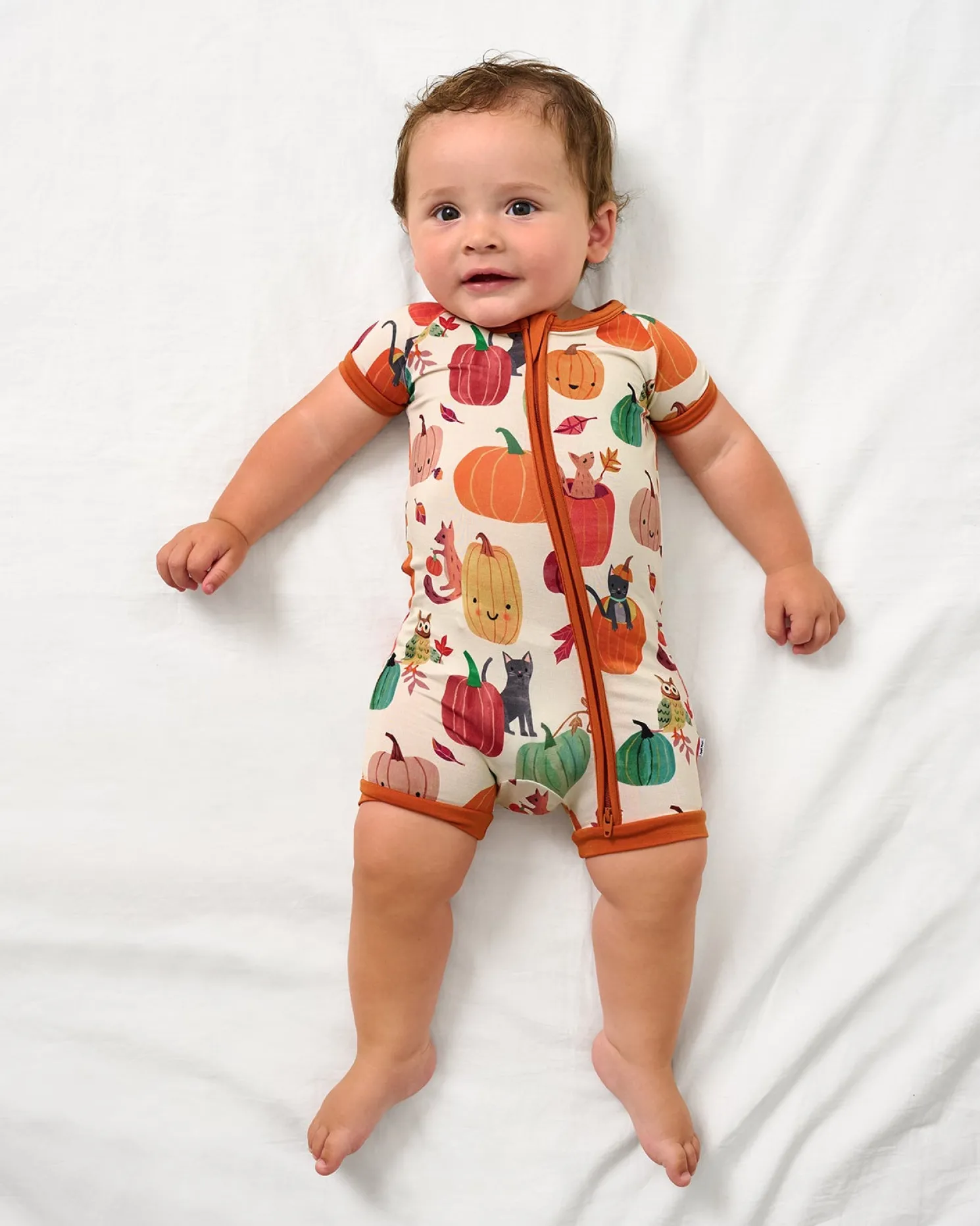 Pumpkin Pals Shorty Zippy