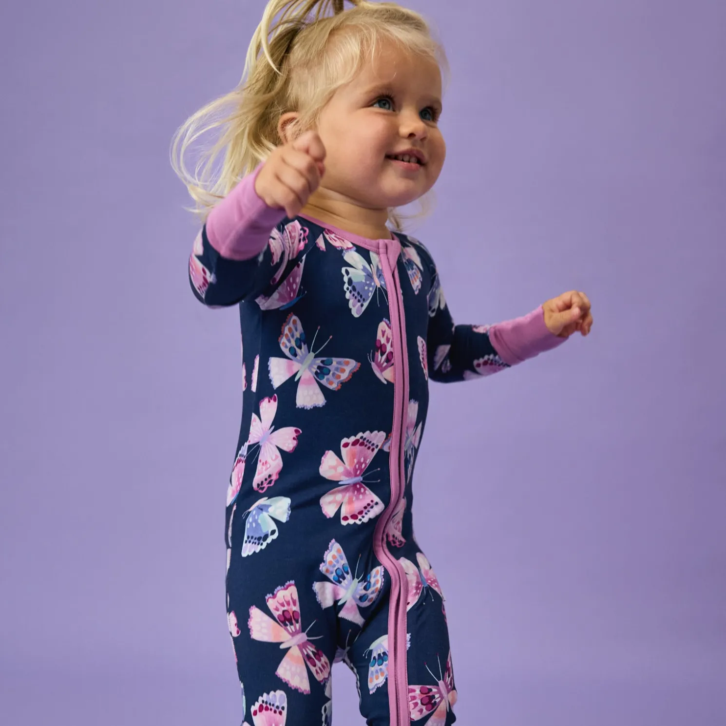 Royal Butterflies Zippy