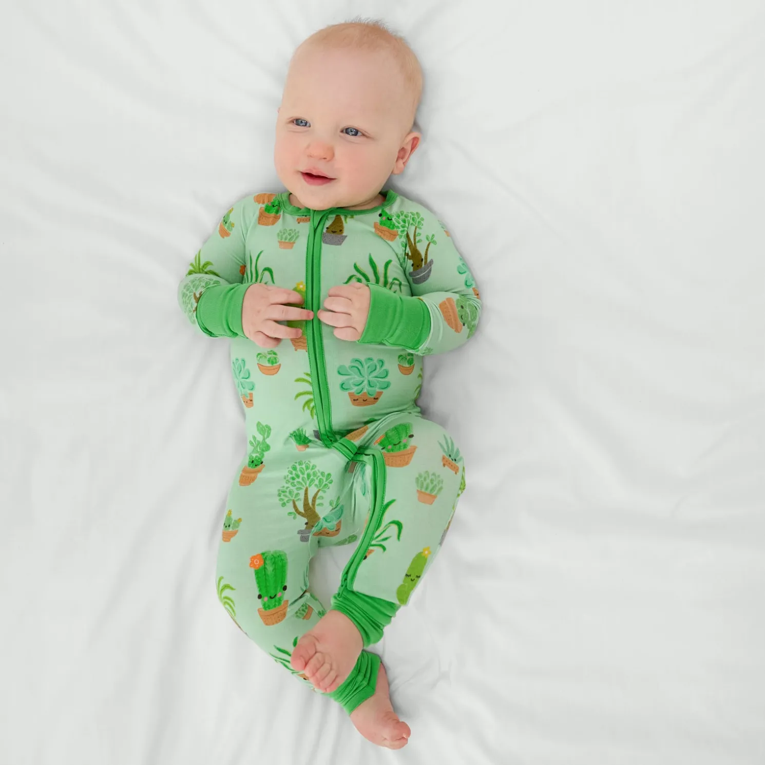 Succulent Love Zippy